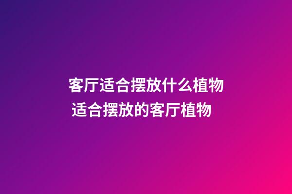 客厅适合摆放什么植物 适合摆放的客厅植物